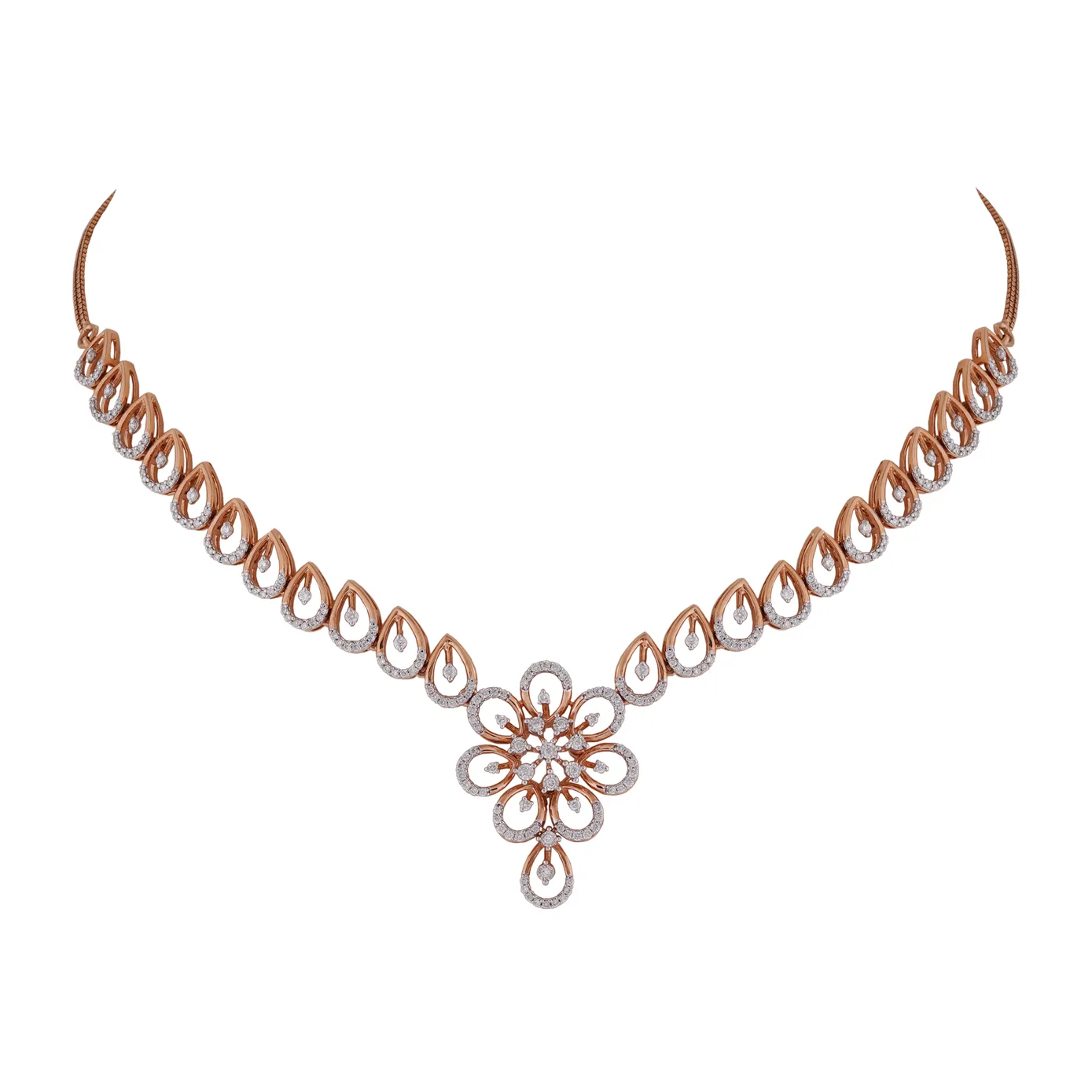 Carcanet - The Floral bed!